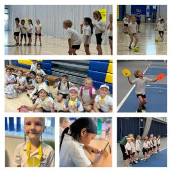 Multi-skills Festival Multi-skills Festival