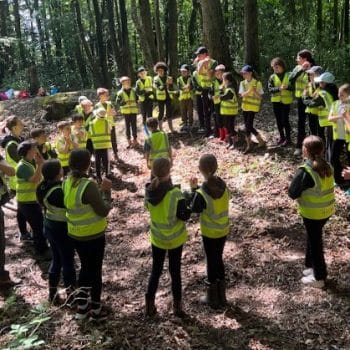 Forest School Trip Forest School Trip